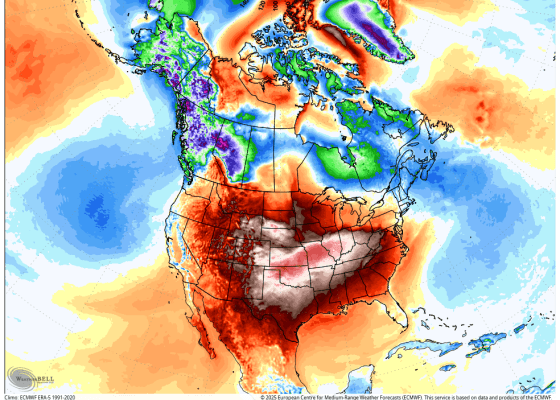 temperature anomaly map of CONUS